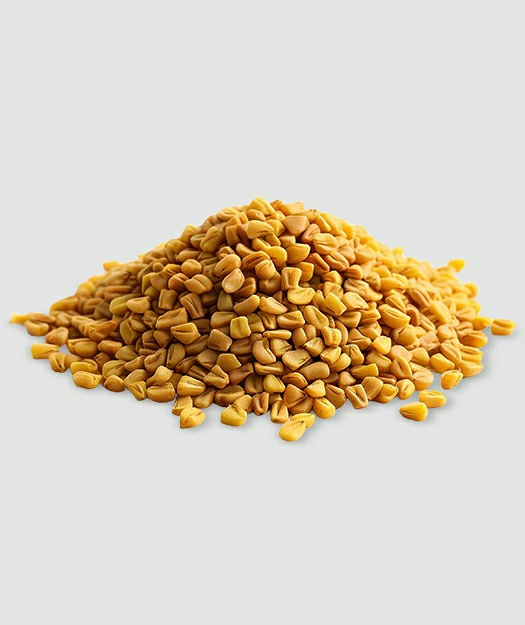 Organic Fenugreek