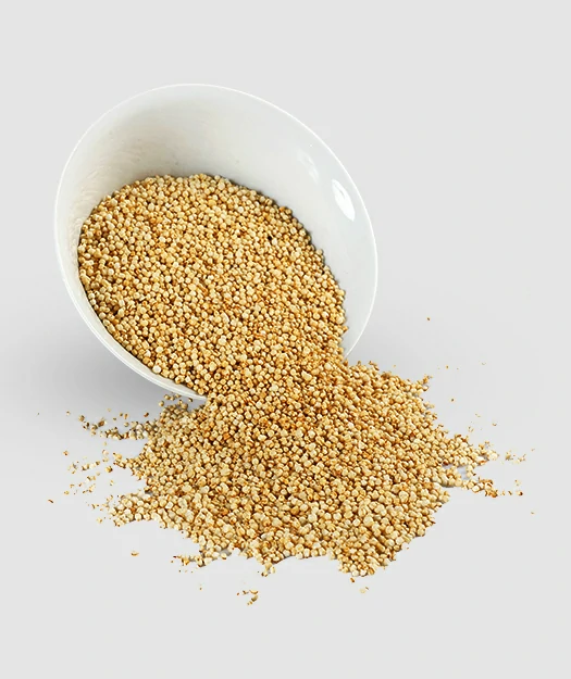 Kambu Pearl Millet